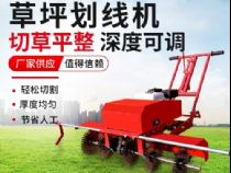 点击查看详细信息<br>标题：草皮划线机 阅读次数：3946